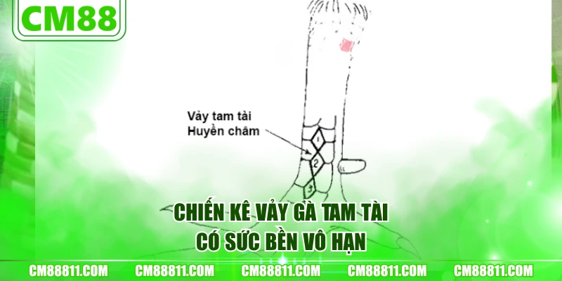 Chiến kê vảy gà Tam Tài có sức bền vô hạn